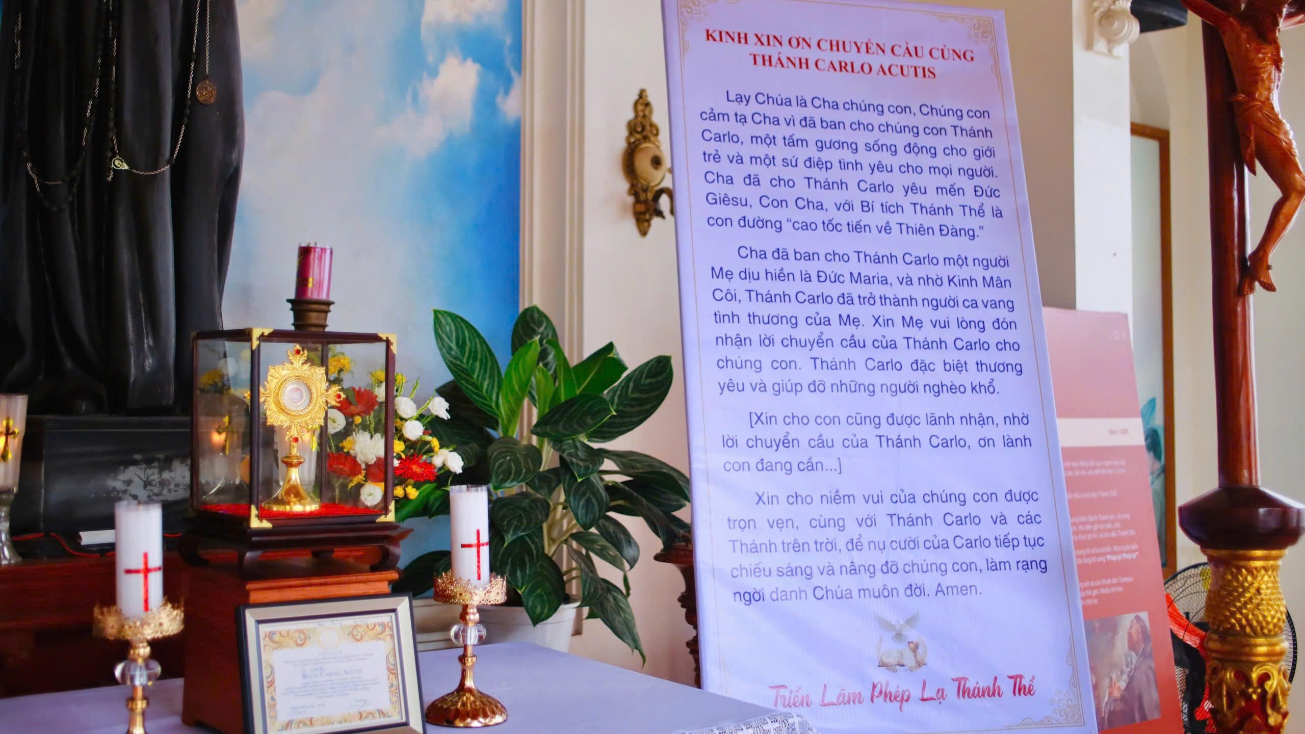 Giáo Xứ Phú Tảo: Trưng bày Thánh tích Thánh Carlo Acutis và Triển lãm các phép lạ Thánh Thể